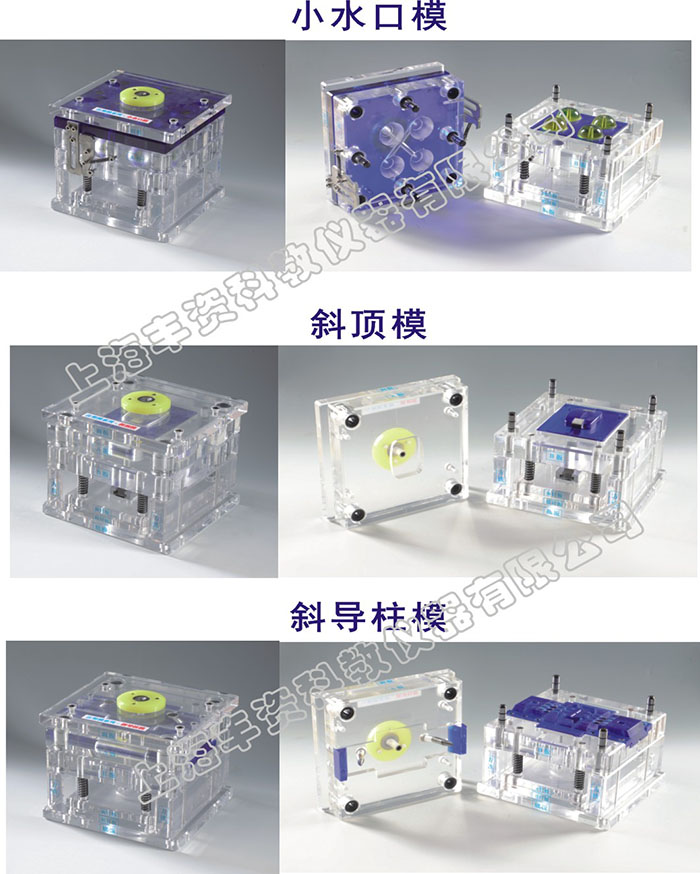 FZ-TMJ型 理論教學(xué)透明模具模型